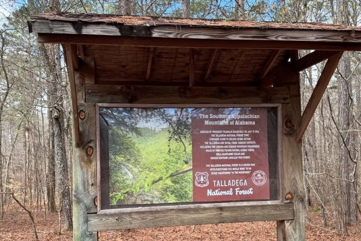 Tuberville, Rogers introduce bill to expand Talladega National Forest by 50,000 acres