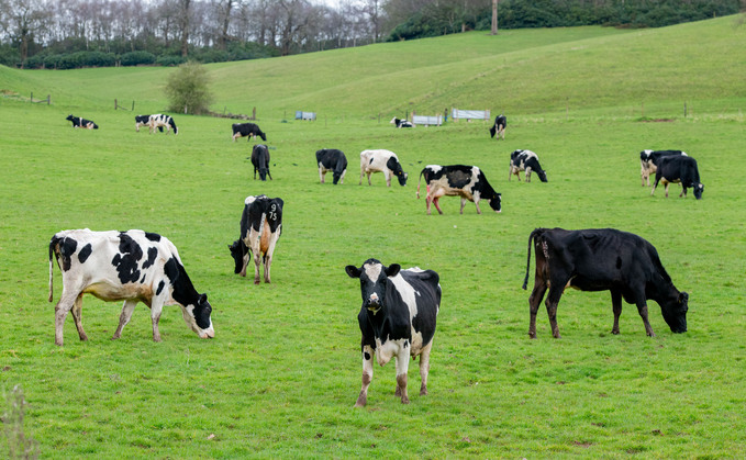 Two new cases of bluetongue have been confirmed in Wales