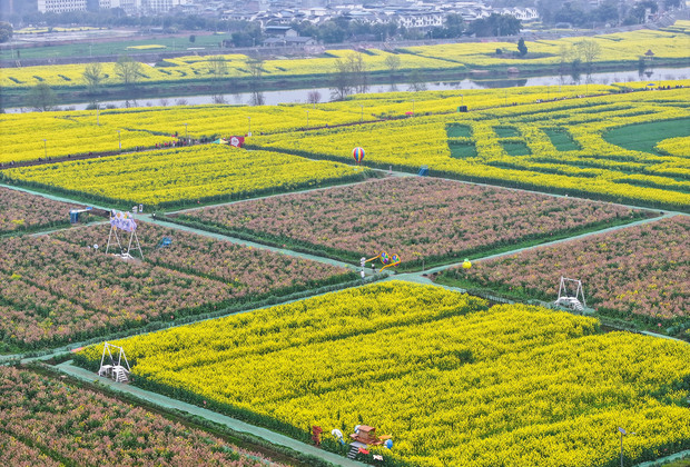 CHINA-CHONGQING-RAPESEED FLOWERS-TOURISM (CN)