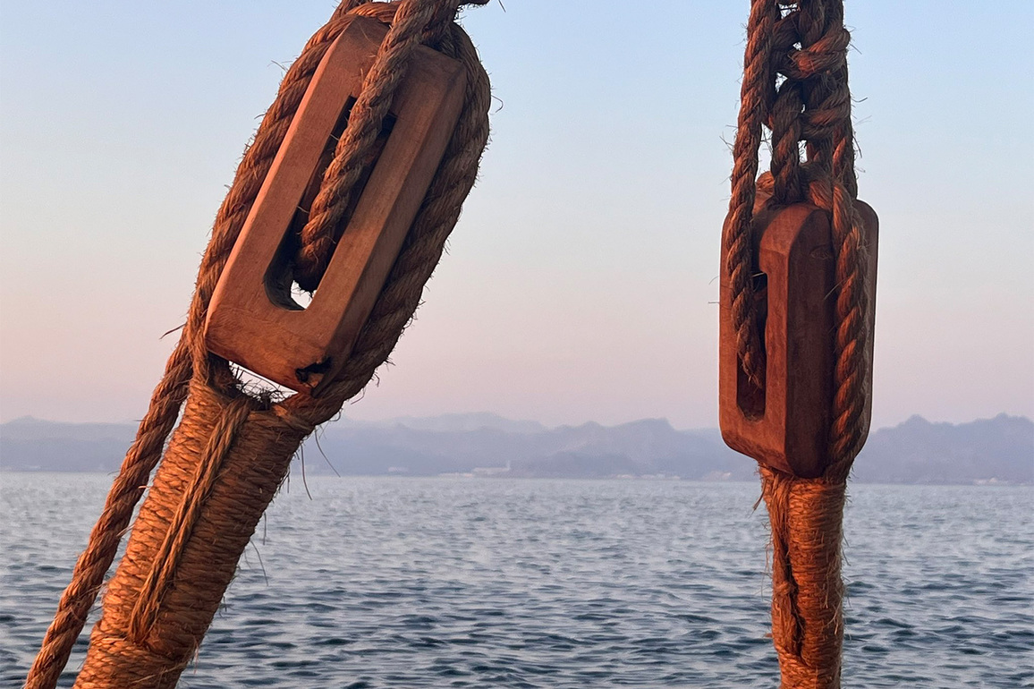 Stitched sailing vessel INSV 'Kaundinya' sights land near Oman, "Land Ahoy" says crew member Sanjeev Sanyal