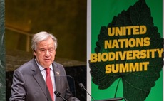 Global Briefing: UN summit confronts global biodiversity crisis