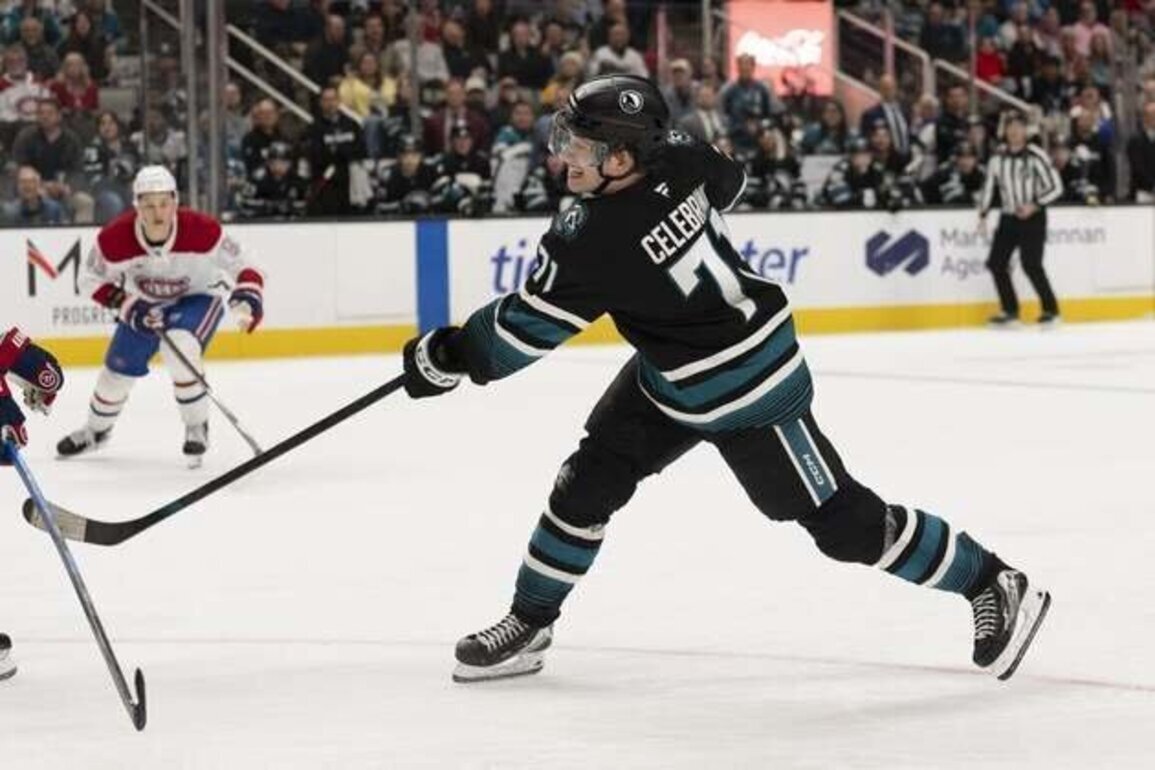 Young Sharks continue push for playoffs vs. Blues