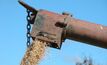 Grain exports leap in Vic