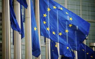 Global Briefing: Green groups warn against allowing offsets to help meet EU 2040 climate target