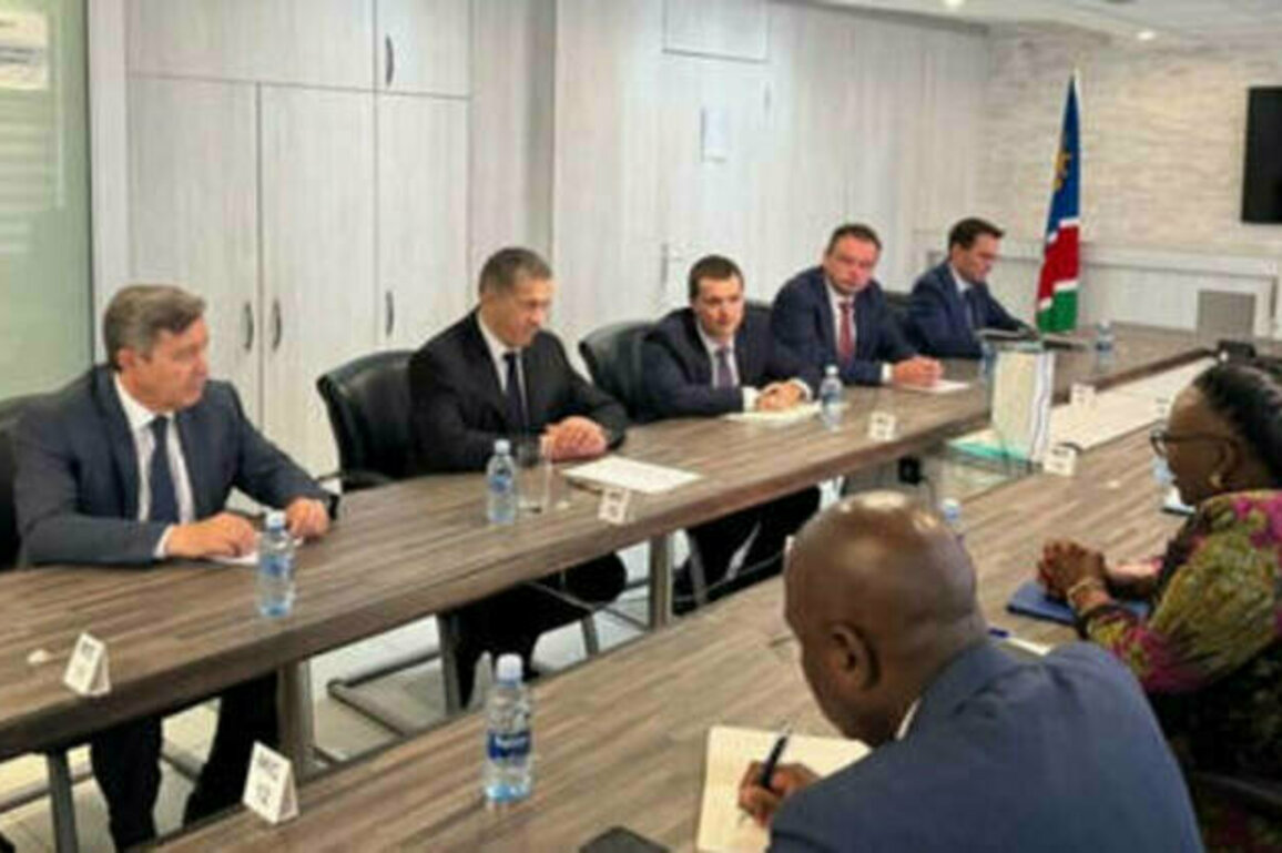 Russia-Namibia trade turnover almost doubles - deputy PM