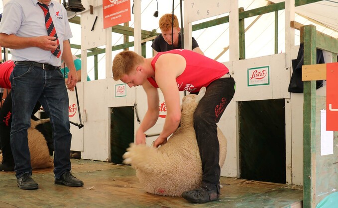 YFC news: Shear brilliance - save 50 per cent on shearing courses