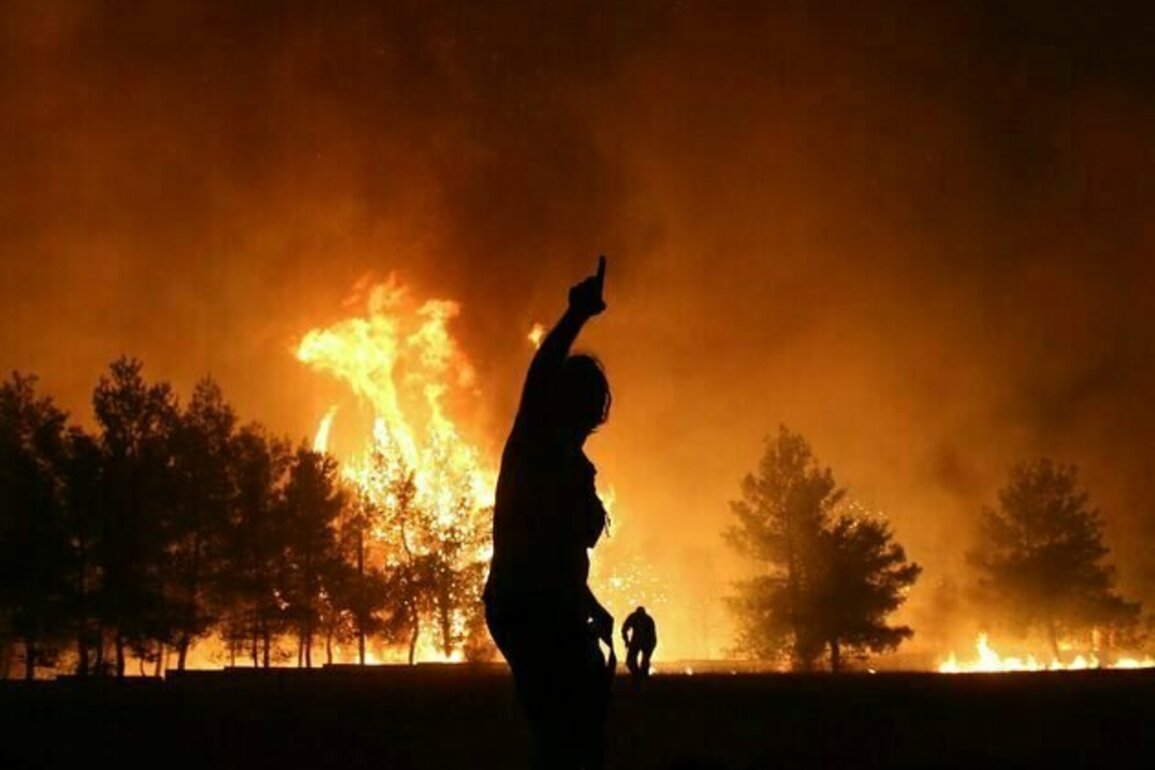 Flames to floods: how Europe's devastating wildfires are fuelling its next climate crisis