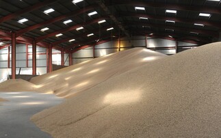 Pre-harvest grain store prep: choosing the right tools for the job 