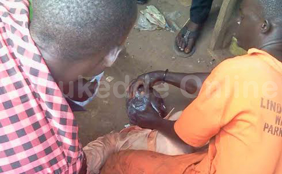 Abatuuze nga balwana n'omusajja eyewadde obutwa okumuwa amata Abatuuze nga balwana n'omusajja eyewadde obutwa okumuwa amata