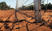 South Australia’s dog fence is the world's longest. 