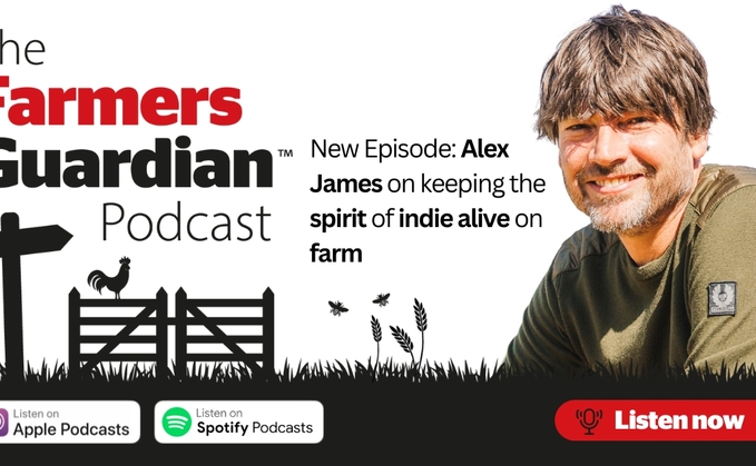 Listen to Alex James from Blur on this week's podcast speak about his passion for farming and hosting a festival at his farm in the Cotswolds