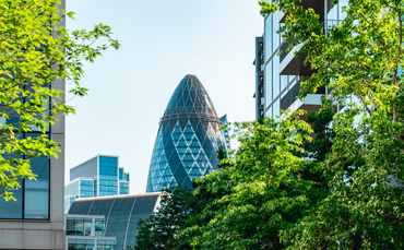 Study: Businesses that recognise nature-related risks can seize 'first mover advantage'