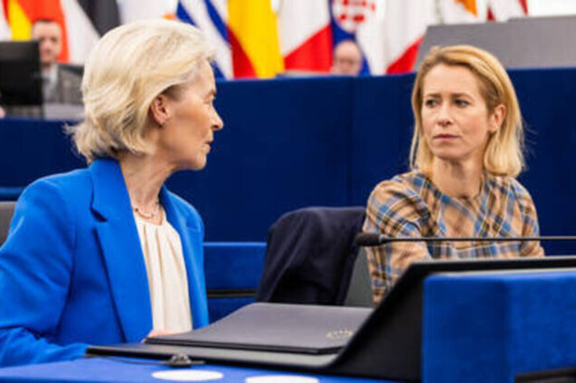 EU's Kallas and von der Leyen on 'collision course' over US-Israeli war on Iran - Politico
