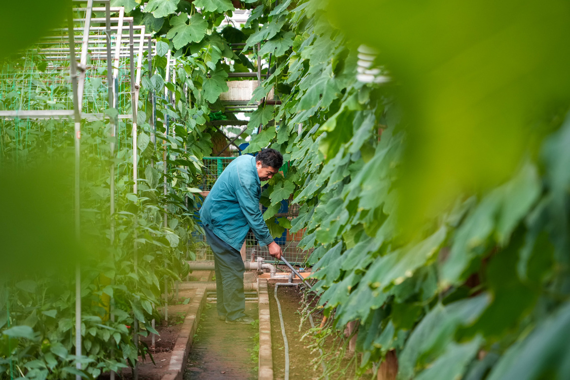 CHINA-SHANDONG-SHOUGUANG-VEGETABLE EXPO-PREPARATION (CN)