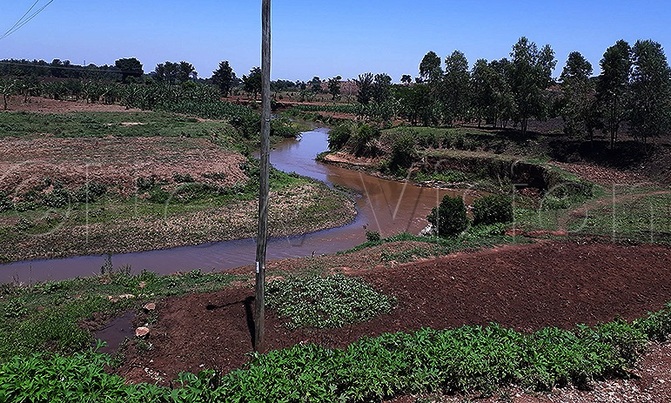 Water depletion looming in Elgon region Water depletion looming in Elgon region