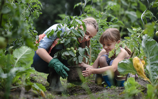 OPINION: Getting farming into schools seems highly possible now - and it could fix numerous issues across society