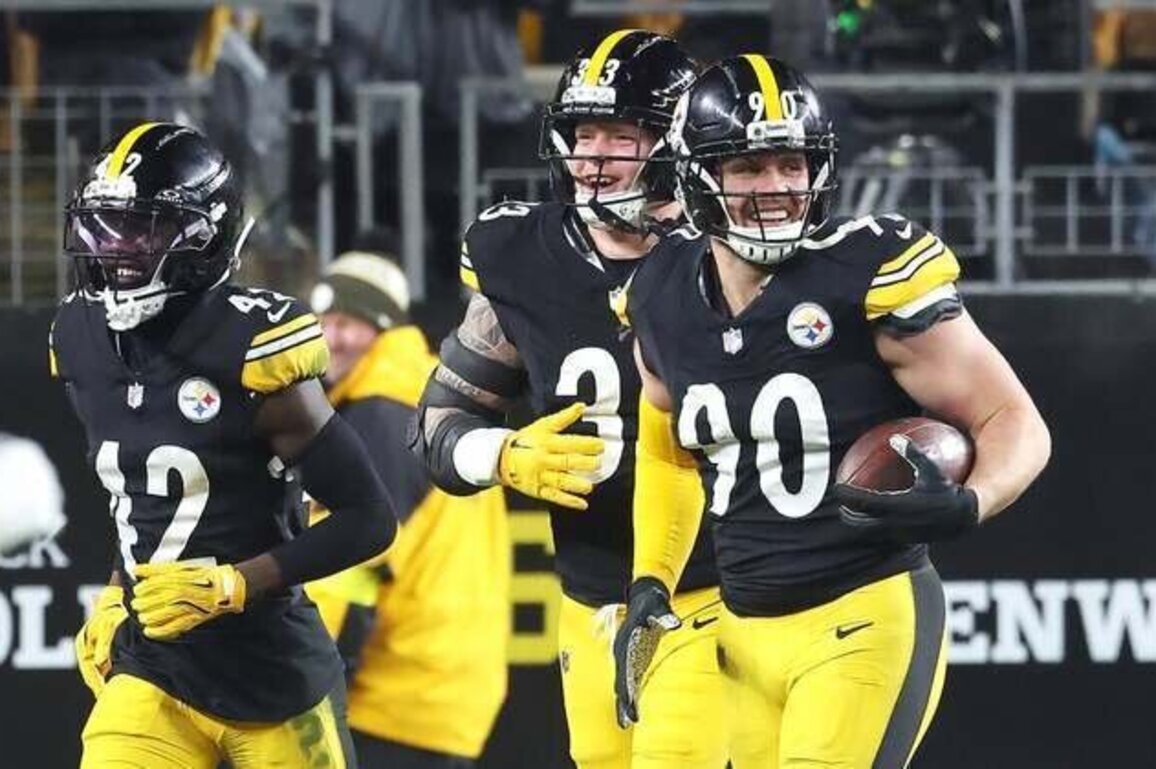Steelers star LB T.J. Watt feeling good entering playoffs