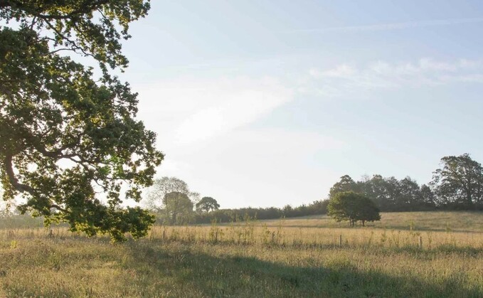 "The cessation of farming would likely disrupt this delicate balance, leading to a decline in biodiversity and the deterioration of the landscape." (National Trust Lower Halsdon Farm)