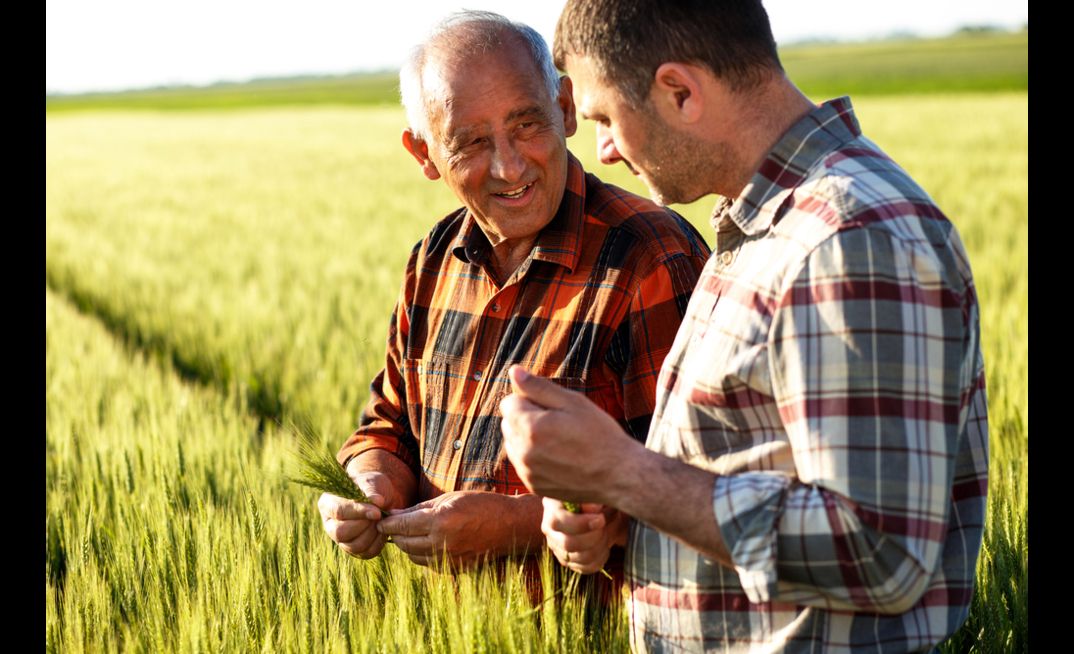  The succession crisis in farming will be a big issue as baby boomers head into retirement, says data specialist Simon Kuestenmacher. Photo credit: Zoran Zeremski/Shutterstock. 