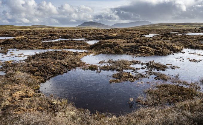 A restored area of peatland on the Migneint blanket bog | Credit" National Trust 