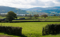 Letters: "Encouraging landscape-scale nature-friendly farming and nature recovery schemes is crucial"