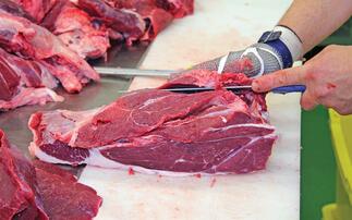 Dorset Council 'rejects' cutting red meat and dairy from food menus