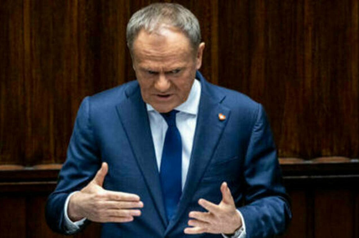 Poland demands EU's help militarizing its borders