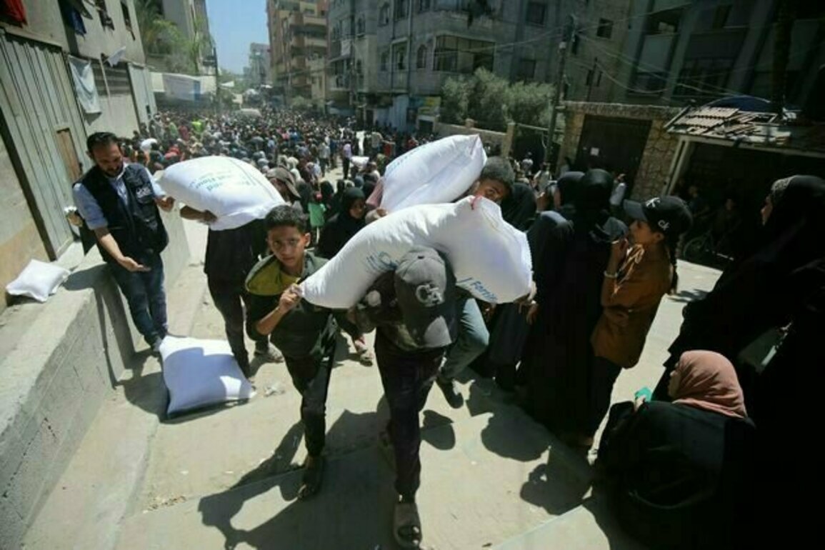 Chaotic new aid system means getting food in Gaza has become a matter of life - and often death