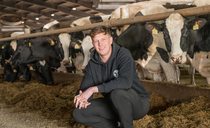 Integrated beef supply chain gives clear targets for calf rearing on Cheshire dairy farm