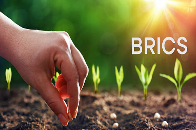 BRICS Innovation cultivates global sustainable agriculture future