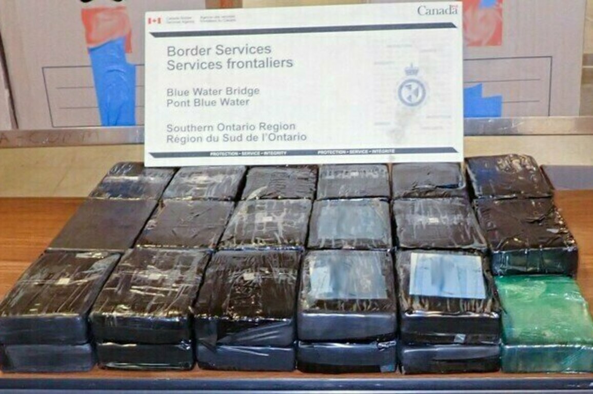 CBSA seizes 187 kg of cocaine at the Blue Water Bridge