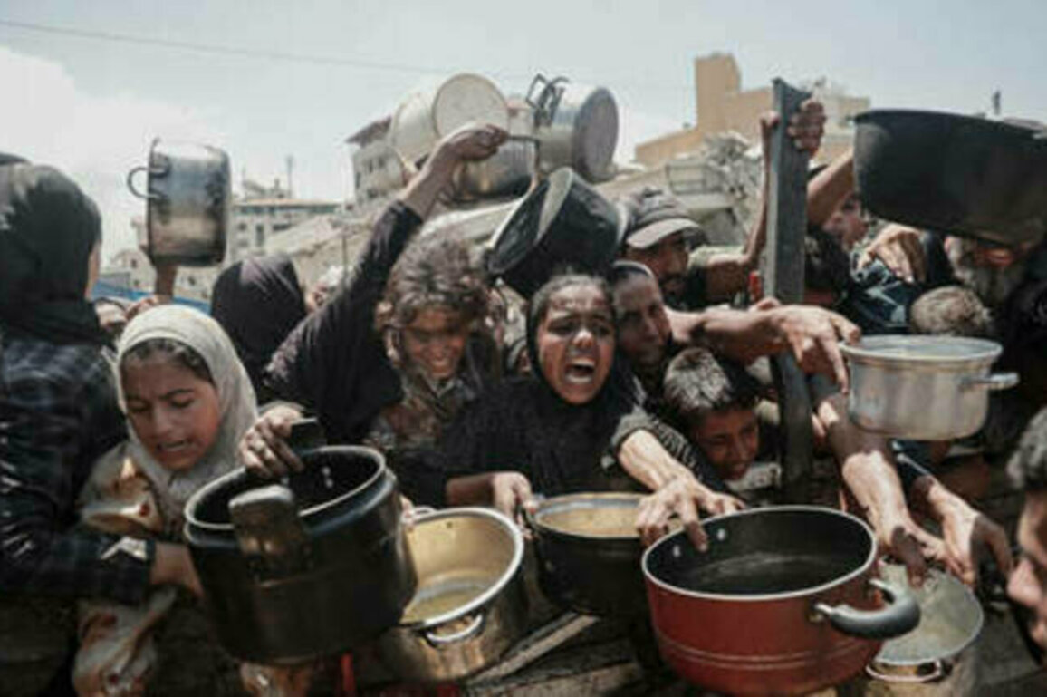 'Unthinkable' catastrophe developing in Gaza - UN spokeswoman