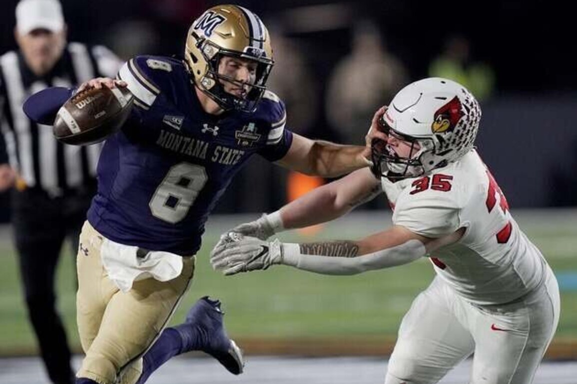 Montana State tops Illinois State in OT for first FCS title since 1984