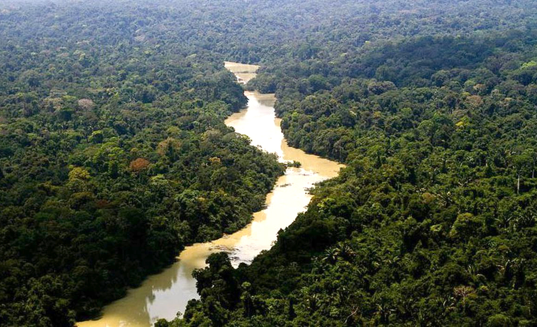 Floresta Nacional Jamanxim, no PA
