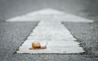 Professional trustee market sees slowest growth in five years
