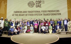 COP28 has sent clear signals for countries to put agriculture and food in their climate plans