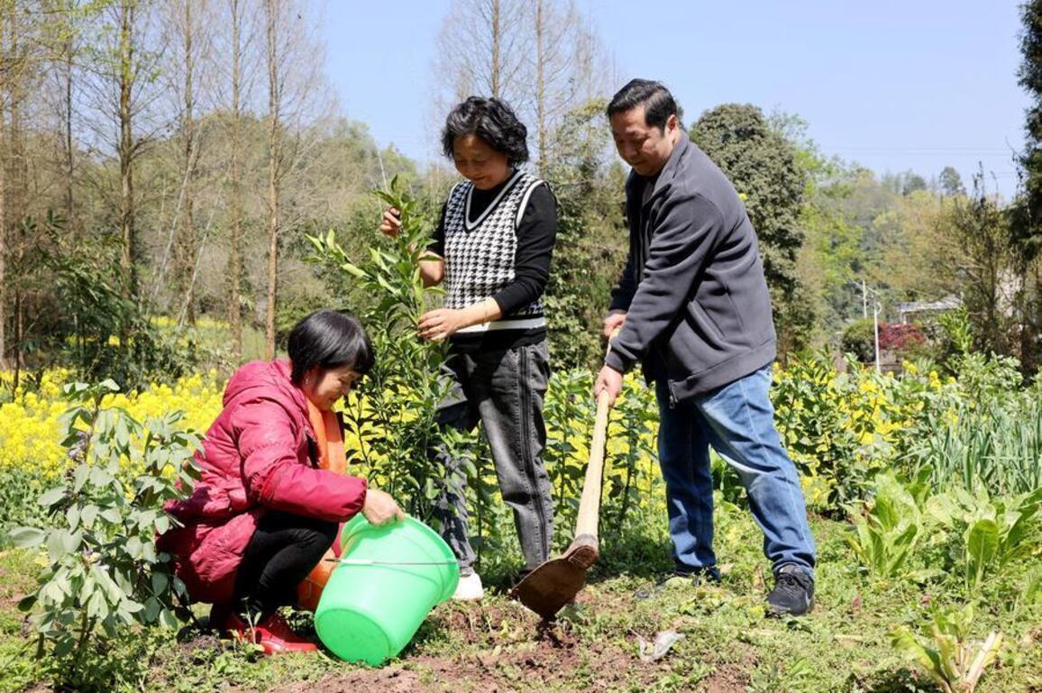 Interview: China's landmark ecological code to set global example -- environmental policy expert