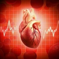 4 conseils d'un specialiste pour garder votre cur en pleine forme