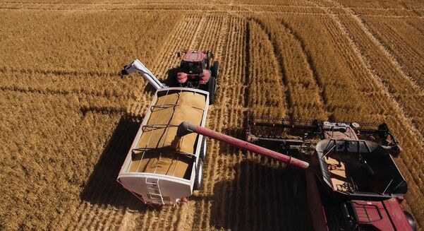 ABARES predicts farm profits will drop significantly in 2026-27. 
