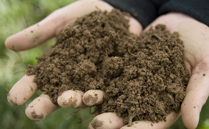 Project launched to monitor soil and root health | Farm News | Farmers ...