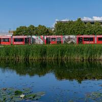 Oasis gigs helps Edinburgh Trams to busiest month on record - The Herald
