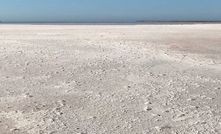  Mardi is set to be one of the cheapest salt and potash projects in WA.