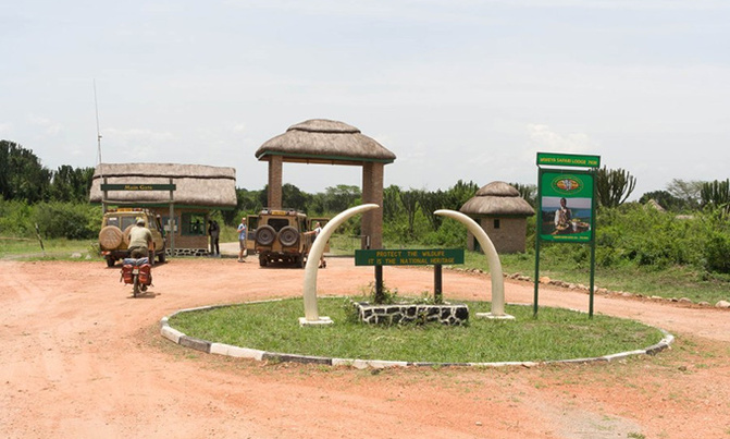 Experience the wildlife of Queen Elizabeth National Park Experience the wildlife of Queen Elizabeth National Park