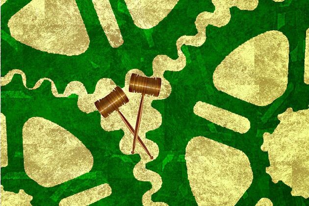 End leftist activists climate lawfare
