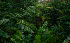 'Nature underpins everything': Government celebrates flurry of nature finance deals