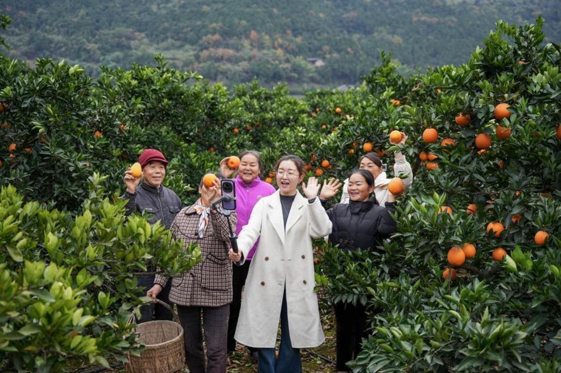 Economy&Life | Party secretaries boost farmers' income via live-streaming promotion at villages in SW China's Sichuan