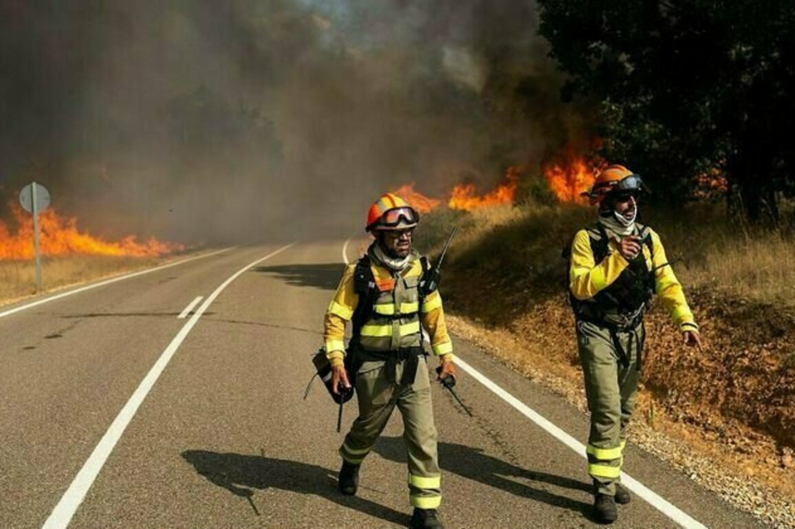 Spain wildfires: decades of rural decline made the blazes worse, but robust local economies can prevent further destruction - here's how