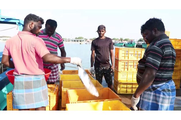 From exports to challenges, Tuna Hub Tharuvaikulam seeks boost as fishermen flag key issues