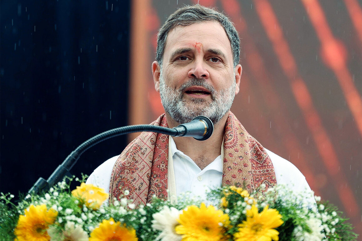 "Rohit Vemula Act necessity to criminalise caste discrimination": Rahul Gandhi remembers late scholar on his 10th death anniversary
