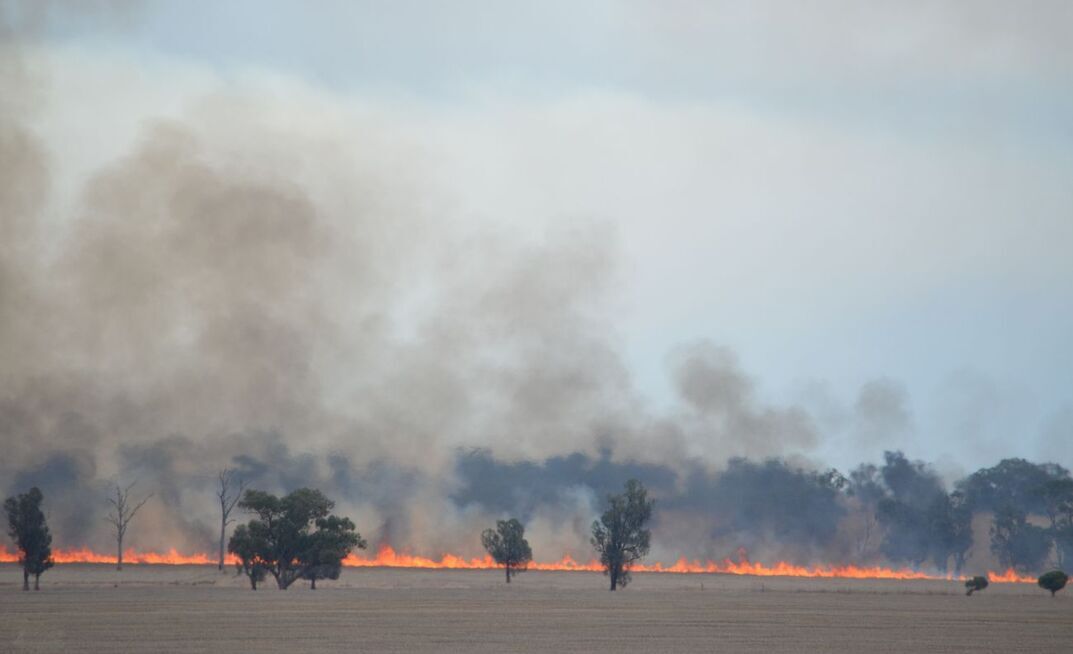 A staged approach is best when it comes to post-fire management of pastures and soils. 